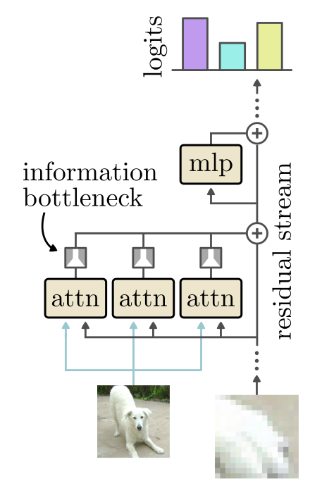 schematic_vit_ib.png